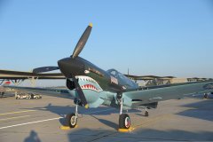 More information about "P40-N"