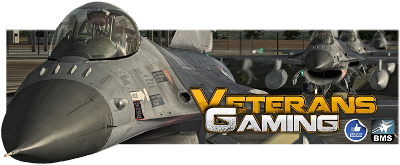 Veterans-Gaming BMS Multiplayer rsz.png