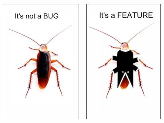 not a bug.jpg