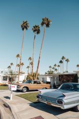 25 Photos to Inspire You to Attend Modernism Week in Palm Springs - Kaylchip.jpg