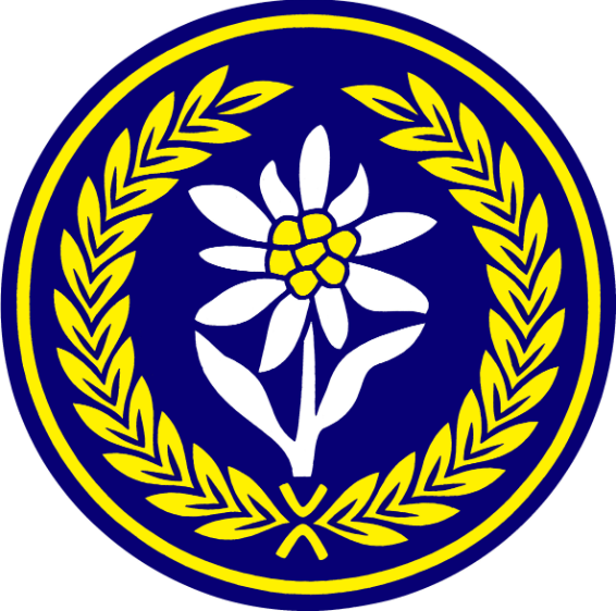 4pol-004.png.88c20082fd19e1d8b97c31b8dc367072.png