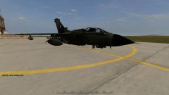 İ am landing without landing gears.jpg
