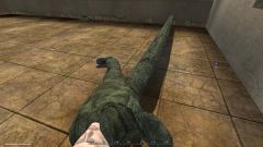 Long legs.jpg